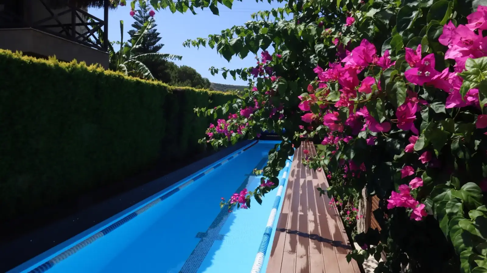 Uzun dikdörtgen formda, bahçenin sınırlarına göre yerleştirilmiş bir villa havuzu